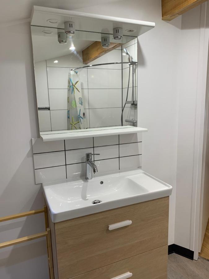 L Isle Jourdain Appartement Entier Recent Et Tout Equipe Proximite Du Centre LʼIsle-Jourdain Zewnętrze zdjęcie